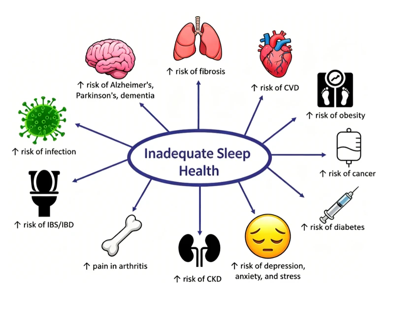 Sleep Health Challenges
Driving the Next Generation of
Supplement Formulations Sleep Health Challenges
Driving the Next Generation of
Supplement Formulations